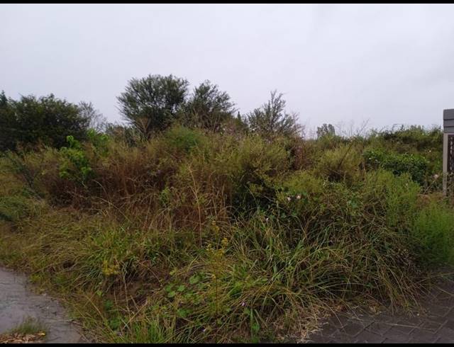 LAND FOR SALE IN LA HOFF